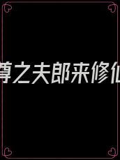 穿越女尊之夫郎来修仙 小说